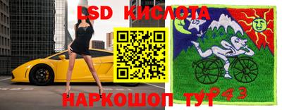 spice Абакан