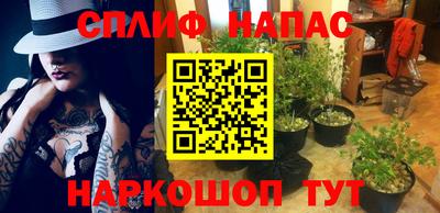 spice Абакан